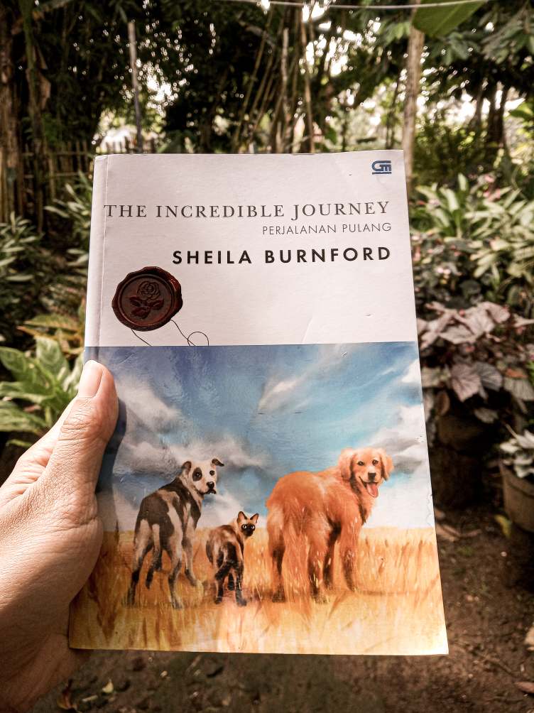 buku the incredible journey